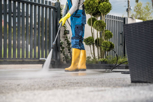 Best Driveway Cleaning and Restoration in Wheaton, MN